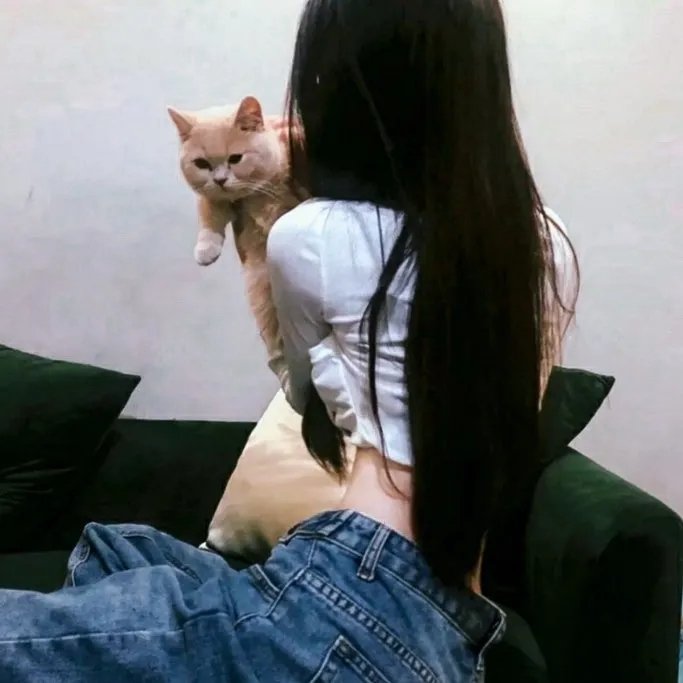 七音符