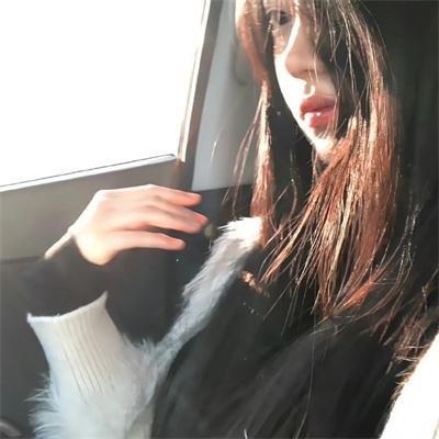 文豪野犬第一季